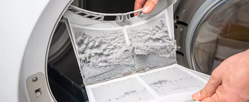 Best Dryer Lint Removal Company in Reston, Virginia