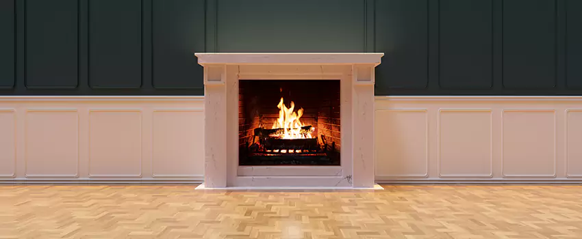 Napoleon Electric Fireplaces Inspection Service in Reston, Virginia
