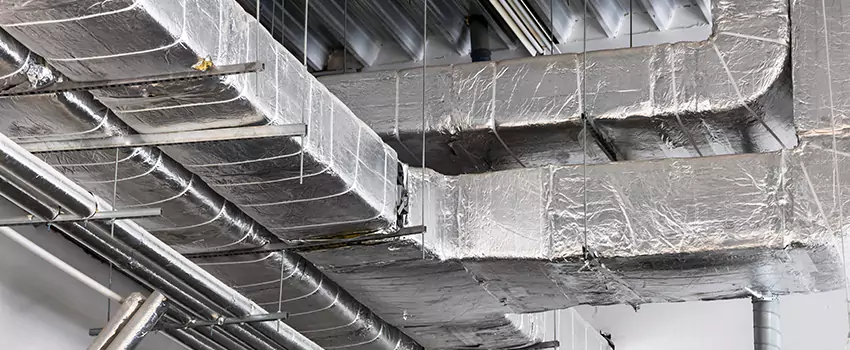Vent Dust Cleaning Cost in Reston, VA