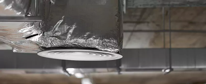 Signs of Dust Accumulation in Vents in Reston, VA