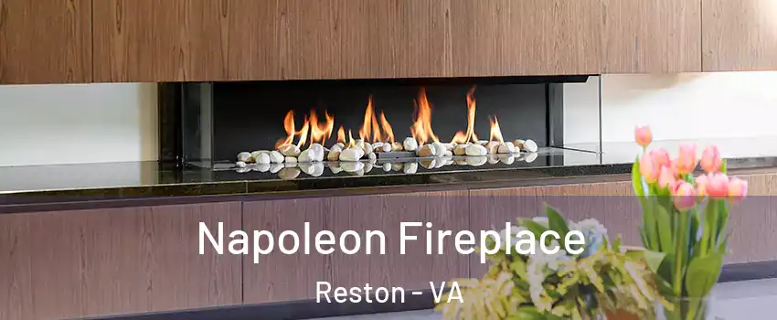  Napoleon Fireplace Reston - VA