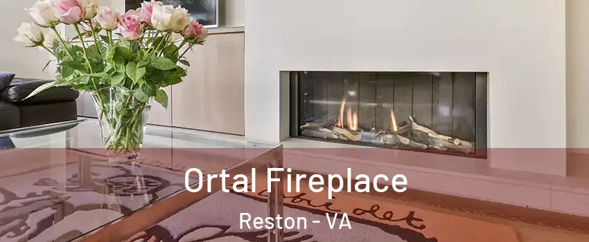 Ortal Fireplace Reston - VA